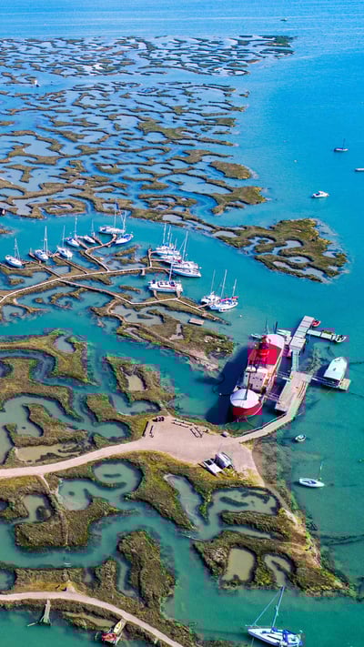 Boats in Tollesbury Marina, Essex (© Geoffrey Robinson/Alamy Stock Photo) mobile wallpaper