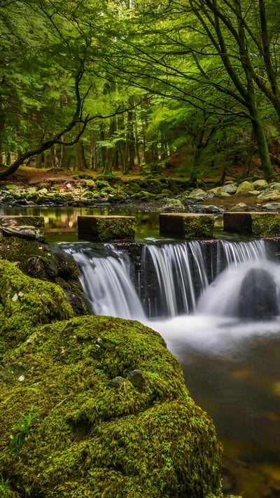 Stepping stones in Tollymore Forest Park, County Down, Northern Ireland (© Chris Curry/500px) mobile wallpaper
