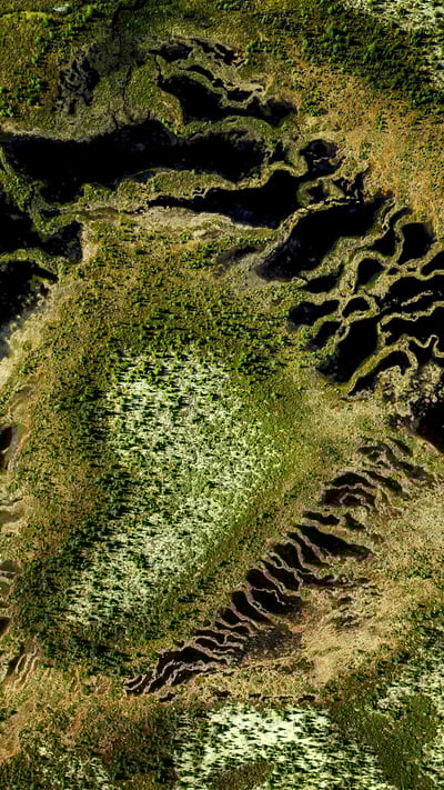Boreal forest at Trans-Taiga Road region in Northern Quebec (© Posnov/Getty Images) mobile wallpaper