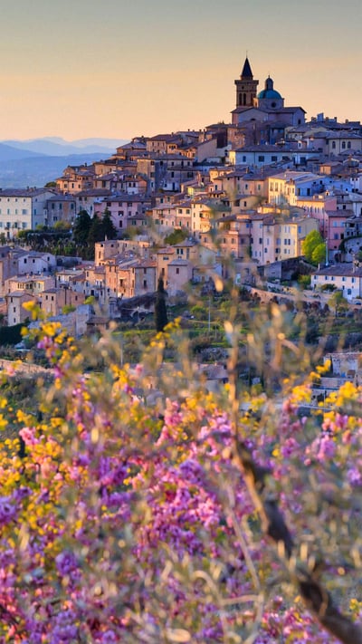 Almond blossoms overlooking Trevi, Umbria, Italy (© Maurizio Rellini/eStock Photo) mobile wallpaper