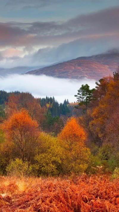 The Trossachs National Park in autumn, Stirling, Scotland (© Jon Arnold/Danita Delimont) mobile wallpaper