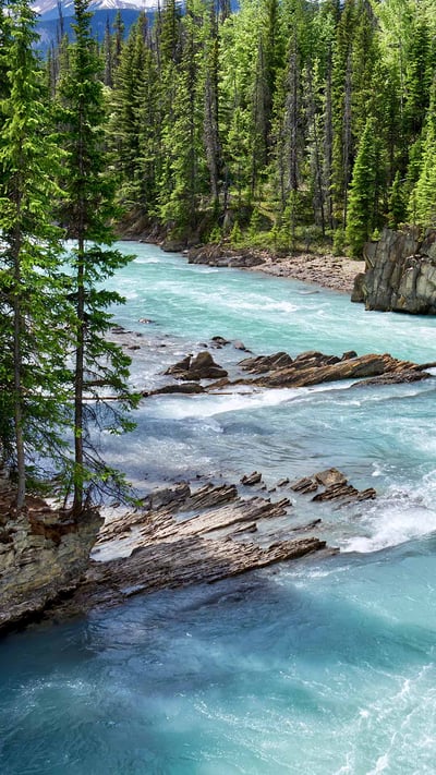Glacial turquoise water of Kicking Horse River, Yoho National Park, B.C. (© Oleg Charykov/Getty Imgaes) mobile wallpaper