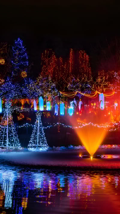 Festival of Lights, VanDusen Botanical Garden, Vancouver (© Wiliam Perry/Alamy Stock Photo) mobile wallpaper