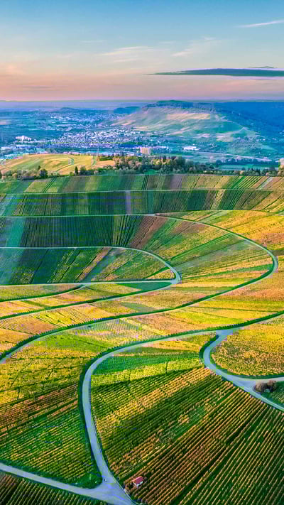 Drohnenansicht der Weinberge im Remstal, Baden-Württemberg (© Westend61/Getty Images) mobile wallpaper
