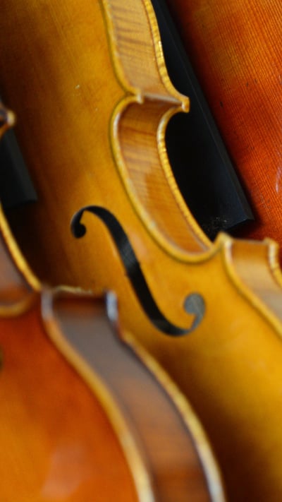 Violons exposés dans l’atelier du luthier français Mathias Menanteau, Rome, Italie (© Gabriel Bouys/AFP/Getty Images) mobile wallpaper