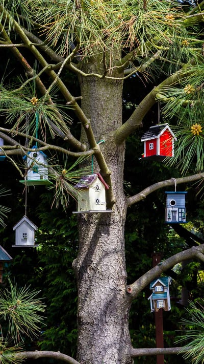 Birdhouses hanging in a tree (© Westend61/Getty Images) mobile wallpaper