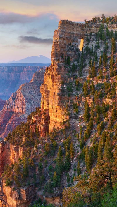 Peekaboo view of Angels Window on the North Rim of the Grand Canyon, Arizona (© Tim Fitzharris/Minden Pictures) mobile wallpaper