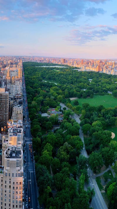 Central Park, New York City (© Tony Shi Photography/Getty Images) mobile wallpaper