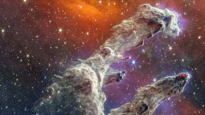 Universe in bloom