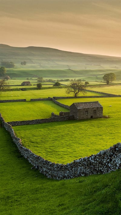 文斯利代尔,英格兰约克郡谷地国家公园 (© Guy Edwardes/Minden Pictures) mobile wallpaper