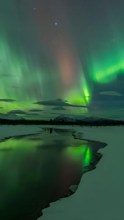 Aurora display, Whitehorse, Yukon, Canada (© John Hyde/plainpicture/Design Pics) mobile wallpaper