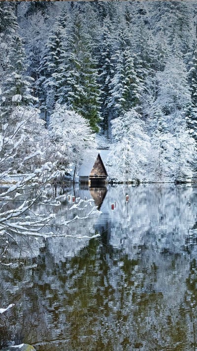 Le lac de Longemer dans les Vosges, Lorraine, France. (© art4stock/Shutterstock) mobile wallpaper