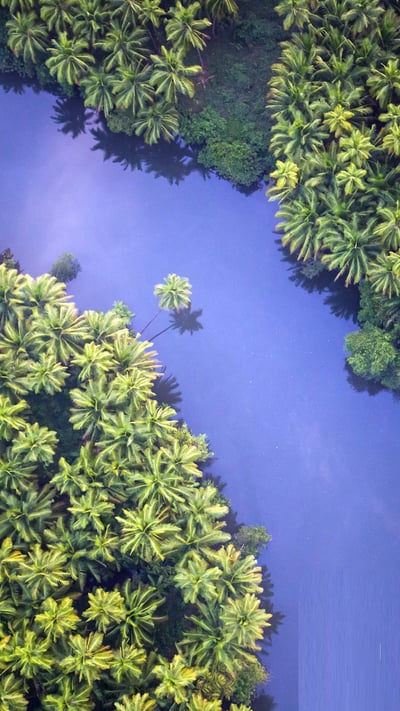 Xic Xelvona village in South Goa, India (© Brandon van Son/TANDEM Stills + Motion) mobile wallpaper
