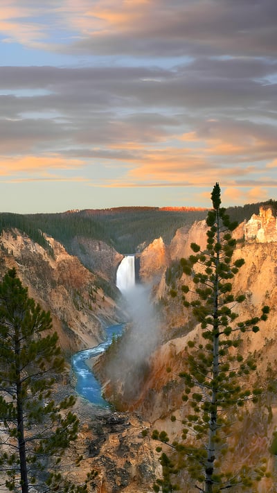Lower Yellowstone Falls, Yellowstone National Park, Wyoming (© Tim Fitzharris/Minden Pictures) mobile wallpaper