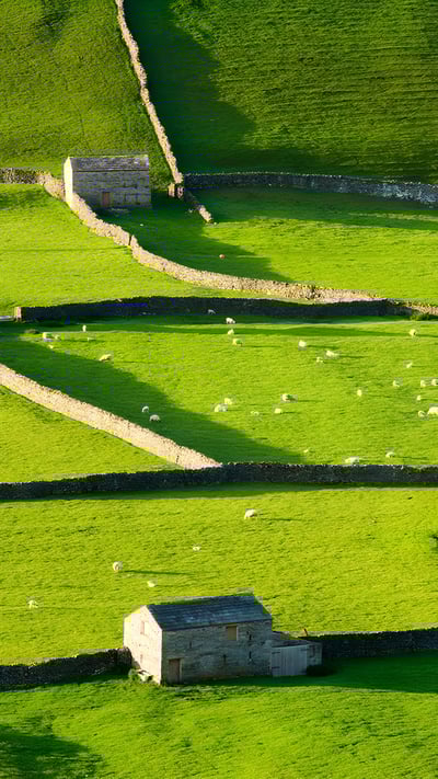 Gunnerside, Swaledale, Yorkshire Dales National Park, England (© Derek Croucher/Alamy) mobile wallpaper