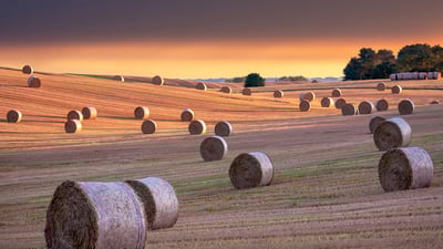 'Hay' there!