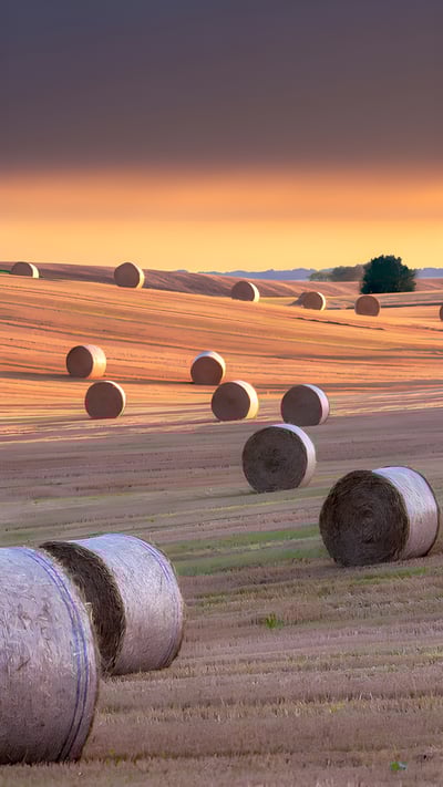 Hay bales, North Yorkshire, England (© Nick Brundle Photography/Getty Images) mobile wallpaper