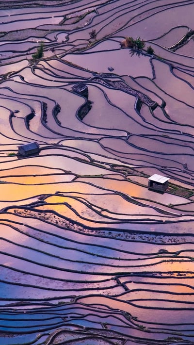 Aerial view of terraced rice fields, Yuanyang County, China (© AlexGcs/Getty Images) mobile wallpaper
