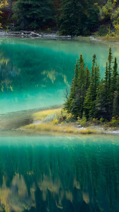 卡克罗斯附近的翡翠湖,加拿大育空地区 (© David Noton Photography/Alamy Stock Photo) mobile wallpaper