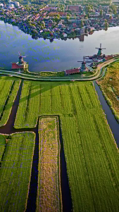 Historic windmills of Zaanse Schans near Amsterdam, Netherlands (© Matt Cooper/Gallery Stock) mobile wallpaper