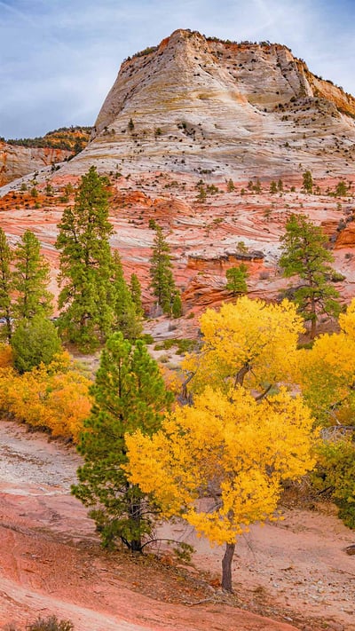 Zion National Park, Utah, USA (© pabradyphoto/Getty Images) mobile wallpaper