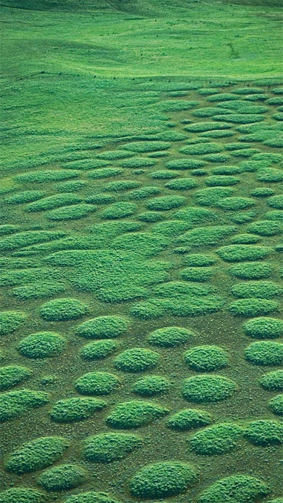 Prairie mounds at Oregon’s Zumwalt Prairie (© Michael Durham/Minden Pictures) mobile wallpaper